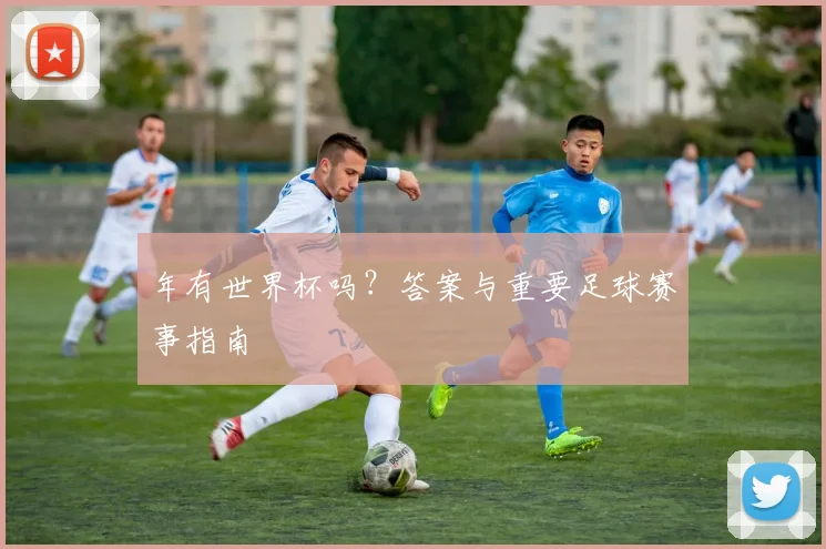 年有世界杯吗?答案与重要足球赛事指南