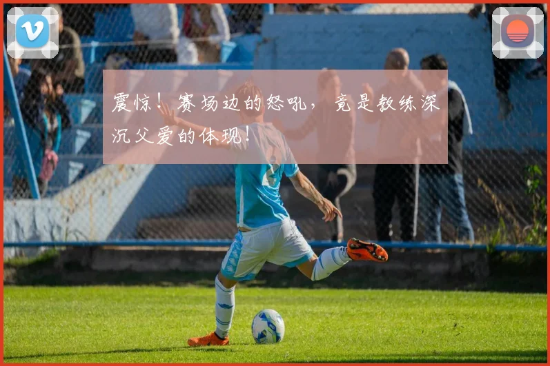 震惊!赛场边的怒吼,竟是教练深沉父爱的体现!