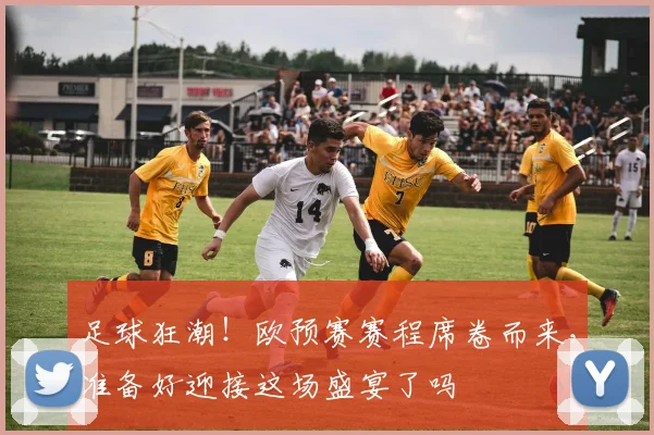 足球狂潮!欧预赛赛程席卷而来,准备好迎接这场盛宴了吗