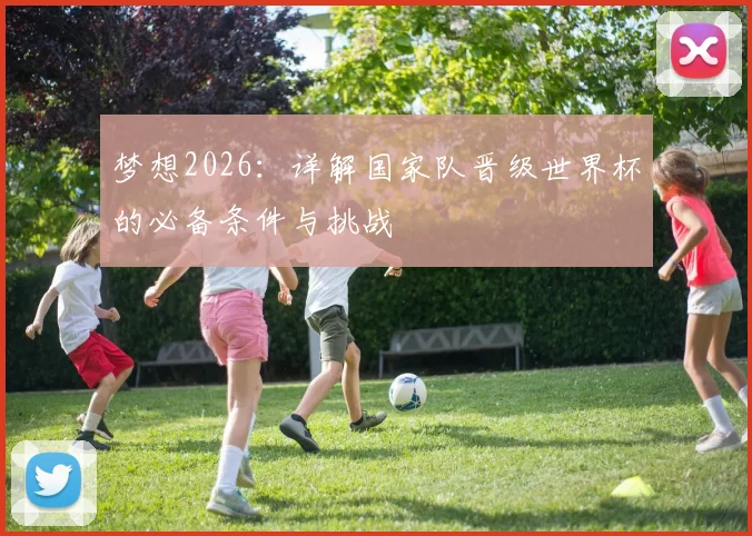 梦想2026：详解国家队晋级世界杯的必备条件与挑战
